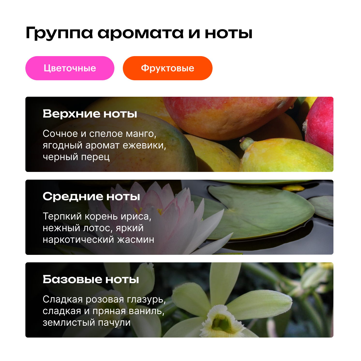 Купить Мини-парфюм Mango M 6 мл по выгодным ценам с доставкой по России в  Библиотеке ароматов