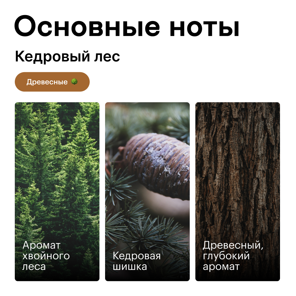 Купить Свеча Кедровый лес 90 гр по выгодным ценам с доставкой по России в  Библиотеке ароматов